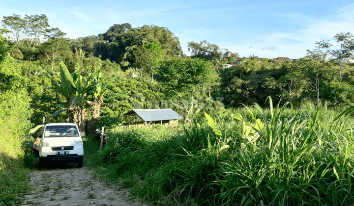 Tanah Luas Murah View Indah Udara Sejuk Dekat Wisata Di Kota Batu 1