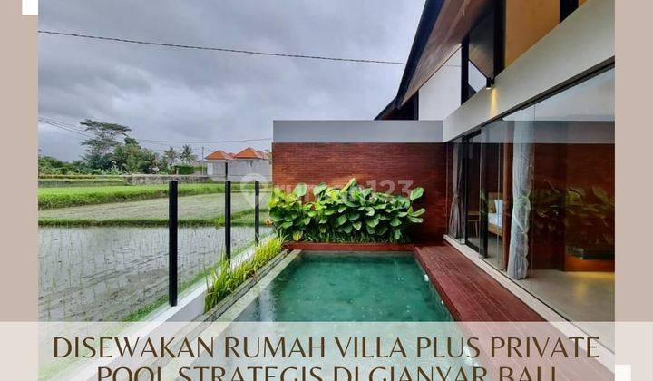 Sewa Rumah Siap Huni Furnish Plus Pool Suasana Asri Murah Di Bali 1