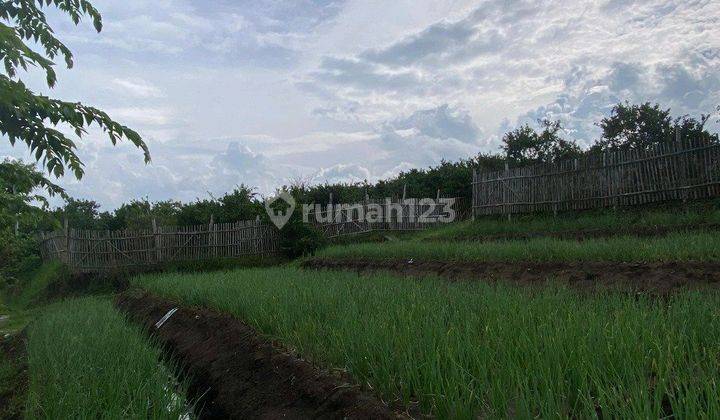 Tanah Sawah Subur Harga Bagus Di Junrejo Kota Batu. 1