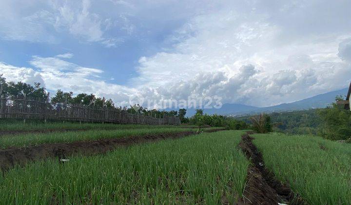 Tanah Subur Utk Pertanian Kebun Harga Borongan Termurah Kota Batu 2