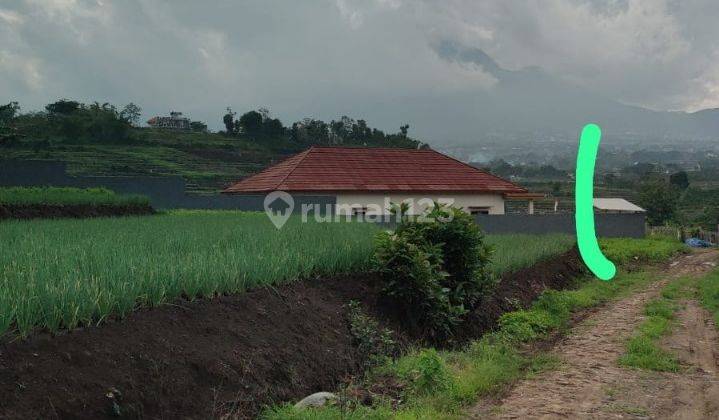 Tanah Sawah Subur Harga Baik Di Junrejo Kota Batu. 2