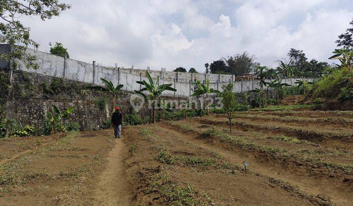 TANAH KEBUN SUBUR HARGA BAGUS DI BUMIAJI KOTA BATU. 1