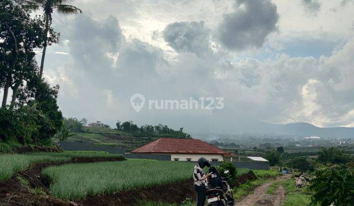 Tanah Sawah Subur Harga Baik Di Junrejo Kota Batu. 1