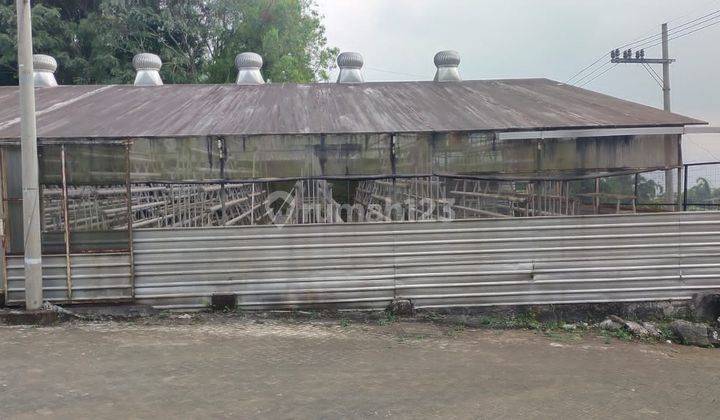 Greenhouse Besar Luas Potensial Area Wisata Coban Rondo Malang 2