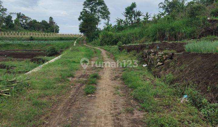 Tanah Luas Bagus Untuk Homestay Dan Villa View Gunung Kota Batu 2