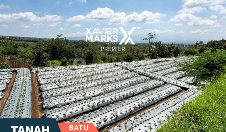 Dijual Cepat Tanah Luas Area Pertanian di Torongrejo Kota Batu