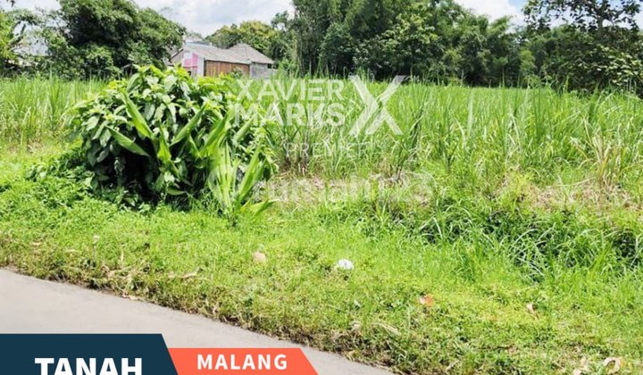 Dijual Tanah di Asrikaton Malang Nol Jalan Raya Cocok untuk Usaha