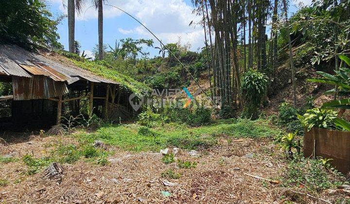 Dijual Tanah Strategis Dan Rumah di Nol Jalan Raya Petungsewu, Dau Malang 2