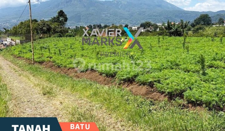 Dijual Cepat Tanah di Bulukerto, Bumiaji Kota Batu View Pegunungan Dijual Cepat Tanah di Bulukerto, Bumiaji Kota Batu View Pegunungan
