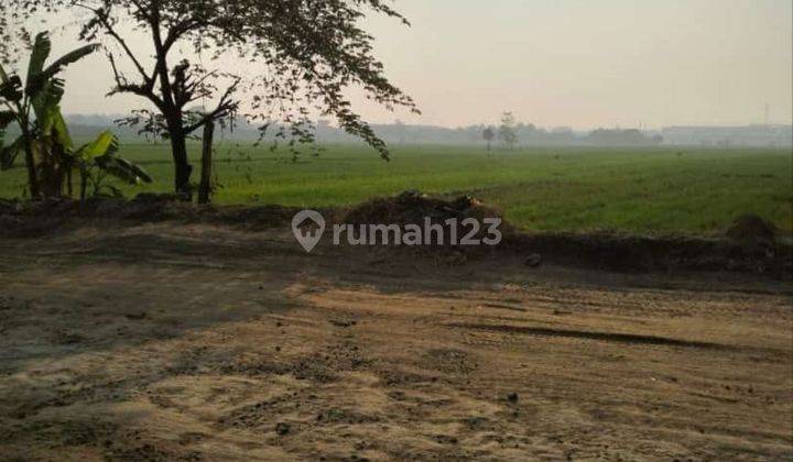 Dijual Murah Kavling Tanah Wringinanom Gresik  1