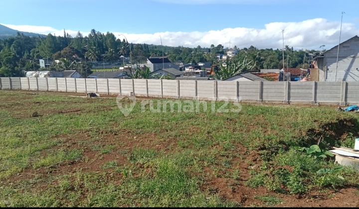 Tanah Murah Megamendung View Gunung Cocok Villa Resort Akses Tol Puncak
