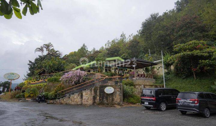 Cafe Resto Murah View Danau Toba Kawasan Wisata Prioritas  14