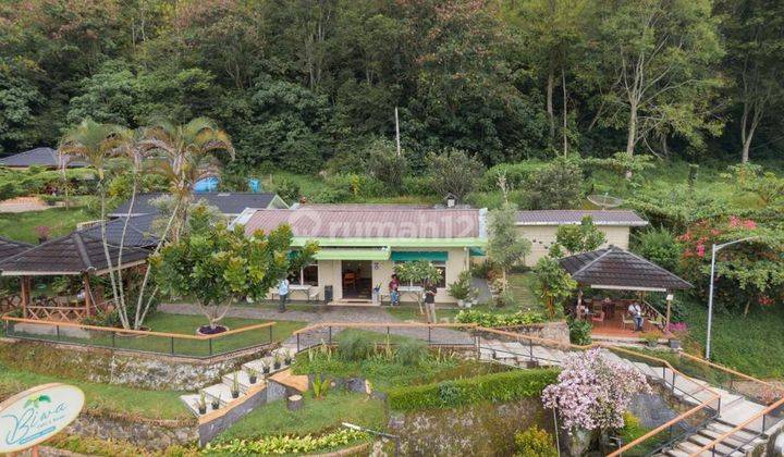 Cafe Resto Murah View Danau Toba Kawasan Wisata Prioritas  18