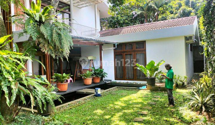 backyard rumah mewah hoek villa duta