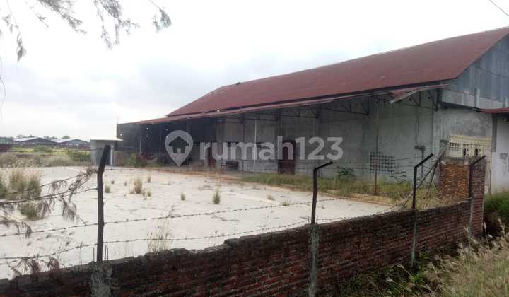 Ex Ricemill Warehouse