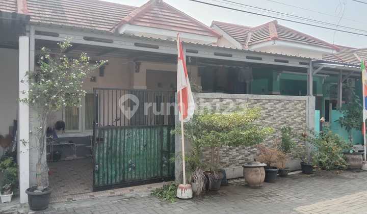 Rumah Siap Huni di Perum Griya Satria Rumah Siap Huni di Perum Griya Satria