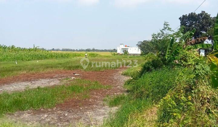 Tanah Darat Dekat Exit Tol Pejagan Brebes 2