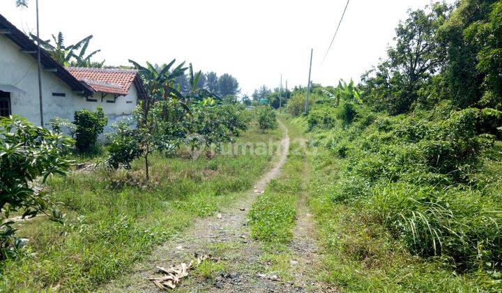 Tanah Di Jalur Pantura Tegal Pemalang Daerah Demangharjo 2