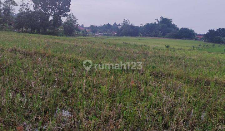 Tanah Sawah di Daerah Lebakbarang 2