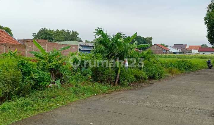 Tanah Dekat Exit Tol Pemalang Tanah Dekat Exit Tol Pemalang