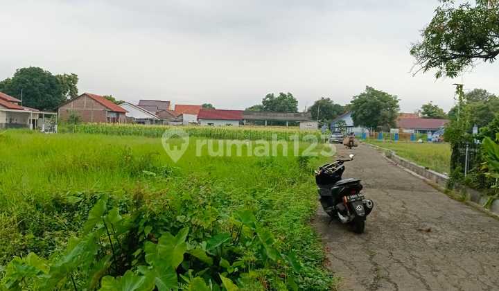Tanah Dekat Exit Tol Pemalang Tanah Dekat Exit Tol Pemalang