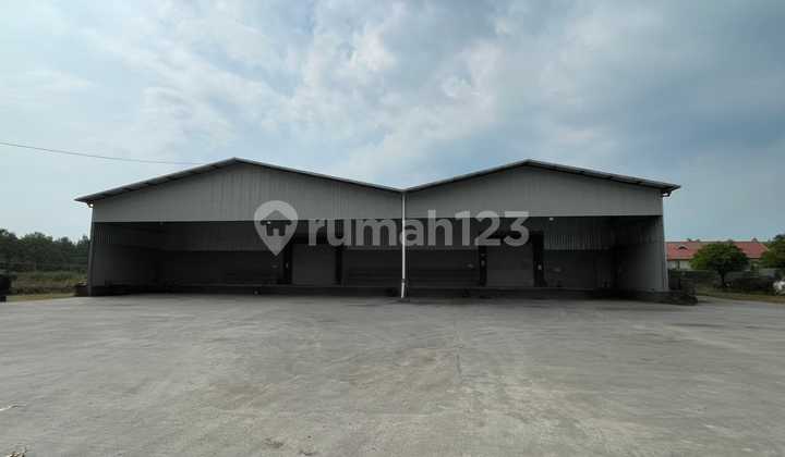 New Warehouse Ready to Use in Matangan Area New Warehouse Ready to Use in Matangan Area