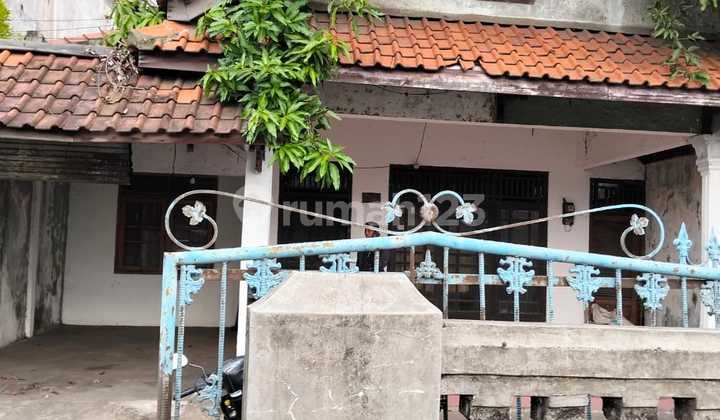 Rumah dan Sarang Walet di Daerah Pantura Tulis 1