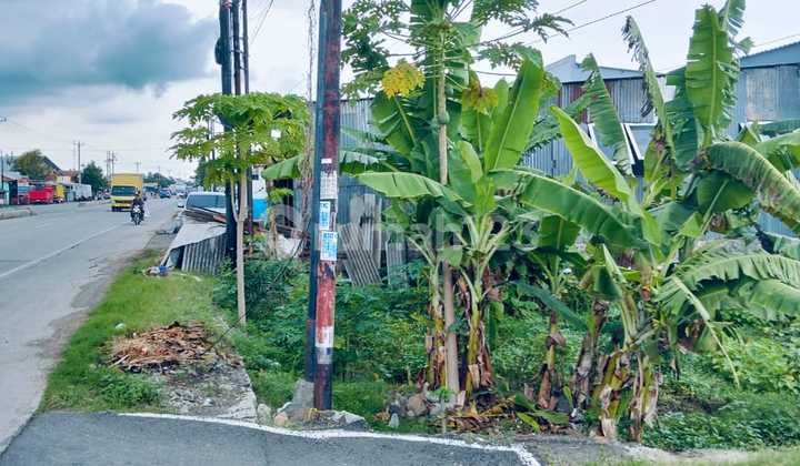 Tanah di Daerah Pantura Tegal Petarukan Dekat Kawan Industri Tanah di Daerah Pantura Tegal Petarukan Dekat Kawan Industri