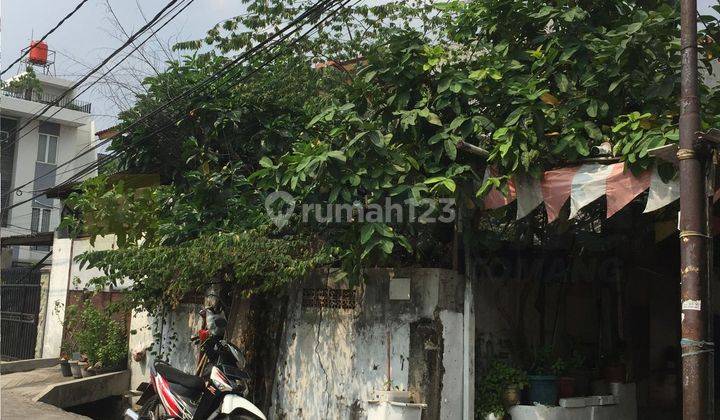 Tanah Hoek Rumah Tua Hadap Utara di Jelambar Bisa KPR 1