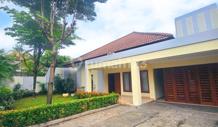 Disewa Rumah Area Kemang Dengan Lingkungan Tenang dan Halaman yang Luas Disewa Rumah Area Kemang Dengan Lingkungan Tenang dan Halaman yang Luas