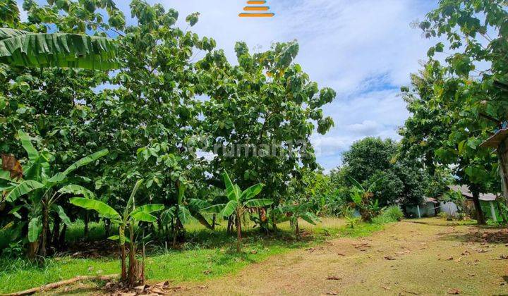 Disewa Tanah Besar di Permata Pamulang Bisa Untuk Resto, Gudang Dan Usaha Lainnya. 1