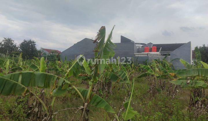 TANAH SHM BEBAS BANJIR DI PERUMAHAN GANESHA MUKTI SEMARANG TIMUR  2