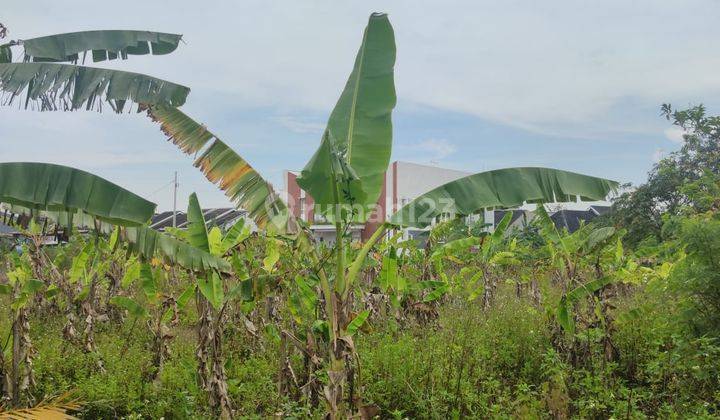 TANAH SHM BEBAS BANJIR DI PERUMAHAN GANESHA MUKTI SEMARANG TIMUR  1