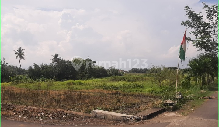 Selling Land with Certificate Near Godean Market Jogja Selling Land with Certificate Near Godean Market Jogja
