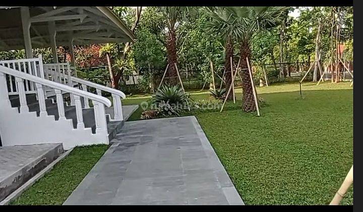 Rumah Sertifikat Hak Milik di Jalan Nglajo Cepu, Blora .terawat . Asri 1