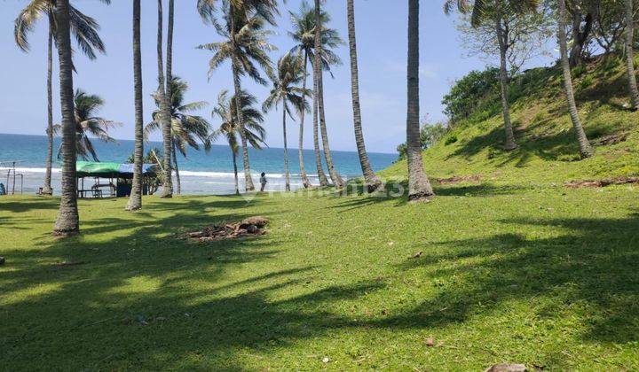 Tanah 12.000 M2 di Pantai Senggigi, Lombok Utara, Ntb 2