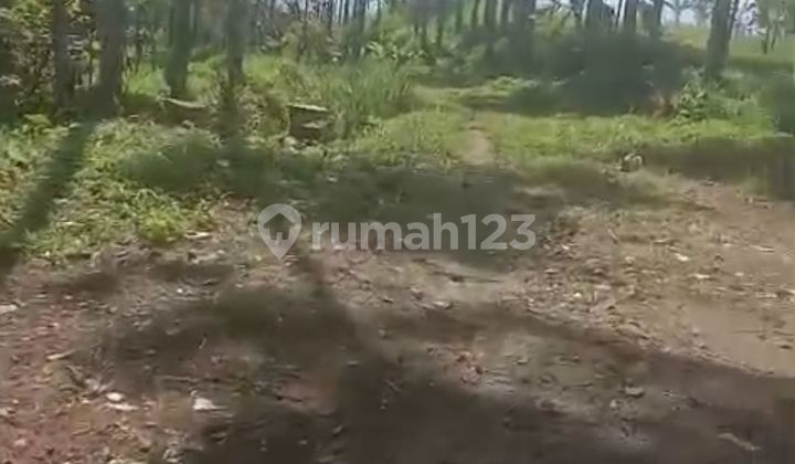 600 Ribu per Meter, Luas Tanah 18.162 m2, Tanah di Bogor, Jawa Barat