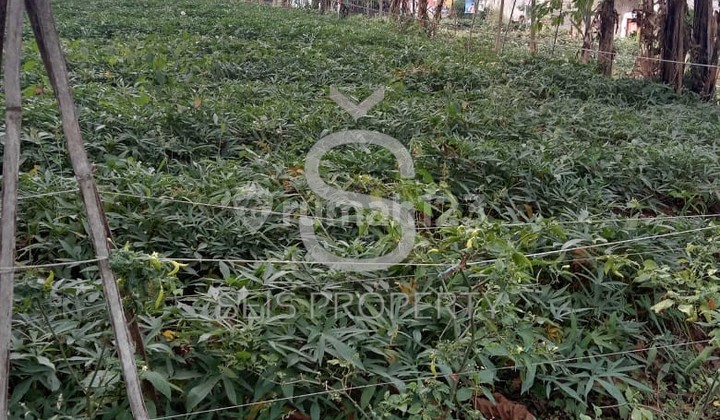 Tanah 363 m2 SHM Padalarang, Bandung Barat