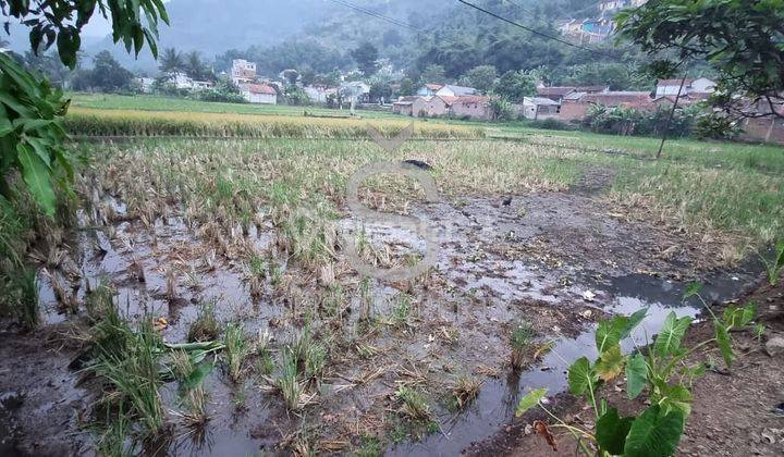 Tanah di Cikopo Ciparay, Bandung SHM 1.029 m² Tanah Sawah  2