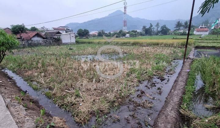 Tanah di Cikopo Ciparay, Bandung SHM 1.029 m² Tanah Sawah  1