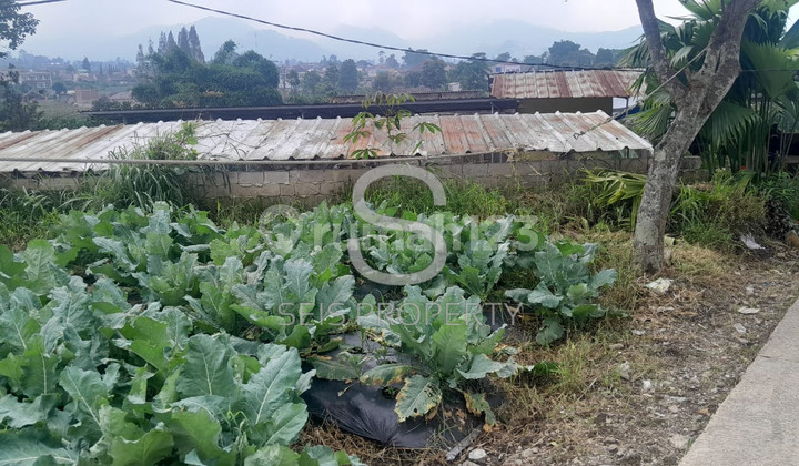 Land 2881 m2 SHM Lembang, West Bandung downslope