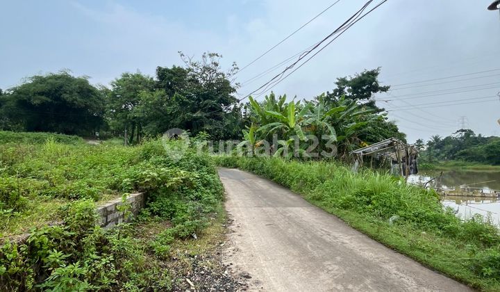 tigaraksa, Dijual tanah tigaraksa 5.200 daerah tangerang tigaraksa, Dijual tanah tigaraksa 5.200 daerah tangerang