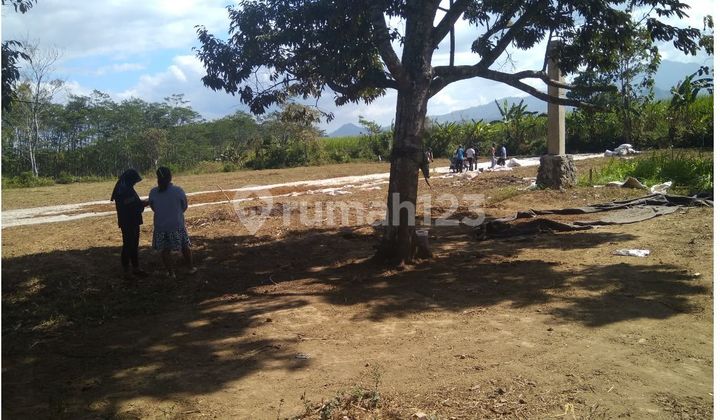 Kav perbatasan Jember Bondowoso nol jalan, ngantong Kav perbatasan Jember Bondowoso nol jalan, ngantong