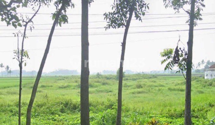 Tanah Luas Murah Cocok untuk Usaha Kepanjen Malang Tanah Luas Murah Cocok untuk Usaha Kepanjen Malang