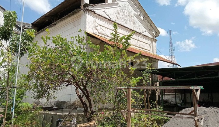 Rumah Usaha Sarang Walet Di Probolinggo Rumah Usaha Sarang Walet Di Probolinggo