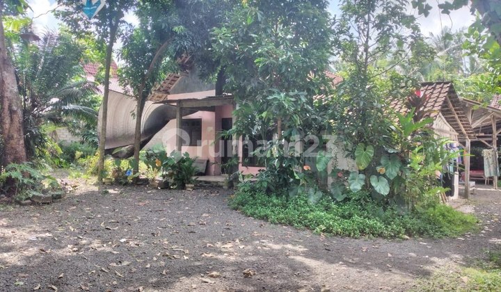 Rumah Hitung Tanah SHM Luas Murah BU, Banyuwangi 2