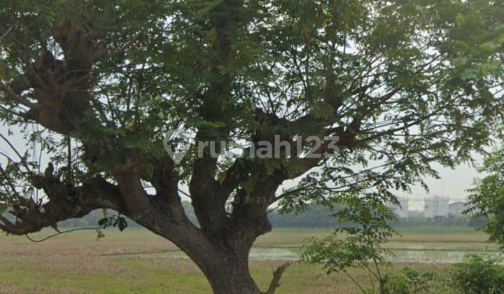 Tanah Strategis Desa Jayabakti Cabang Bungin Bekasi 2