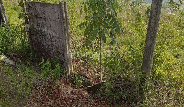 Tanah Di Jual Cepat Dan Murah Berlokasi Di Sukamakmur Bogor 2