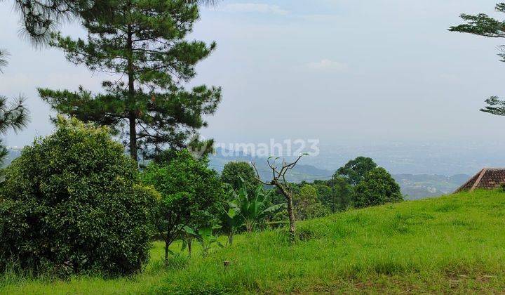 Di Jual Lahan 8000 Meter Gunung Geulis Rainnow Hills Jalan Lodaya 2