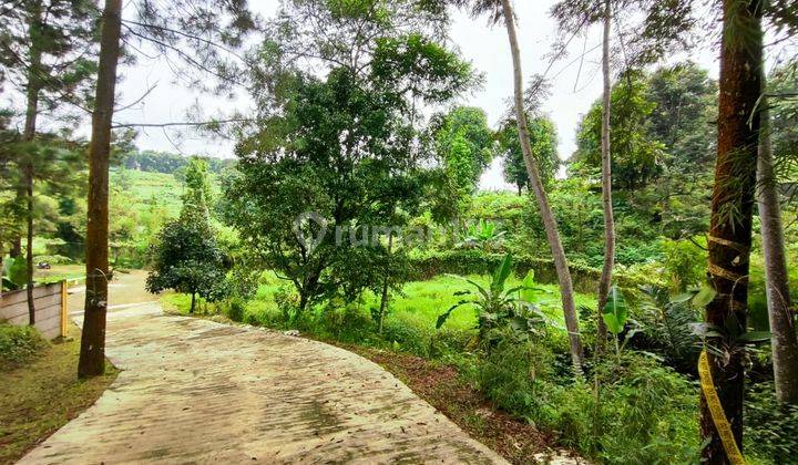 Dijual Lahan Seluas 2 Hektar Dekat Kopi Nako Summarecon Bogor HGP 2